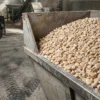 Галька мармурова сіро жовта 20-40 мм - фото виробництва та кар’єру